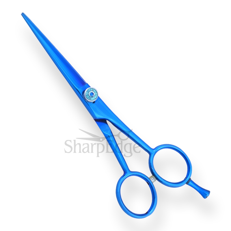Professional Hair Dressing Scissors 